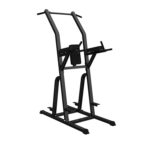 FREE-STATION CHIN/DIP,home-gym.commerical fitness equipment,Triumph Fitness LLC