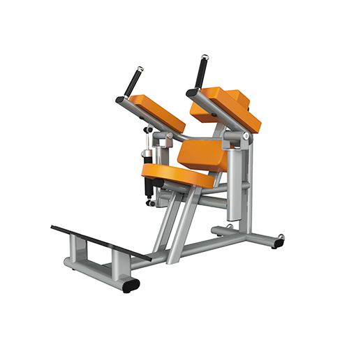 TR800_ABDOMINAL/LOW BACK，Commercial Rehab gym machine,, Triumph Fitness LLC