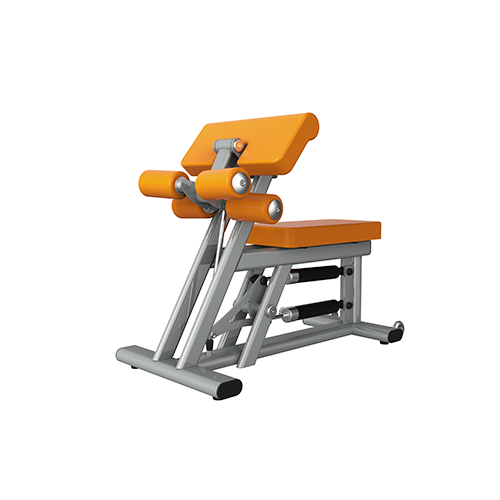 TR801_BICEP/TRICEP,Commercial Rehab gym machine,, Triumph Fitness LLC