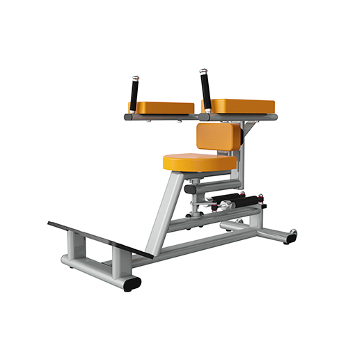 TR810_TWIST,Commercial Rehab gym machine,, Triumph Fitness LLC